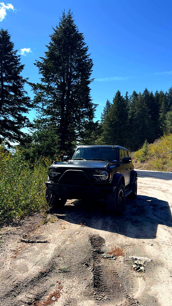 realhaylujan image ~ Altpins