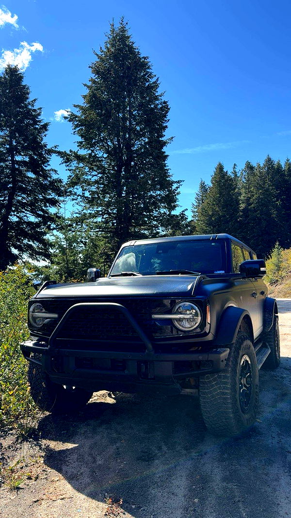 realhaylujan image ~ Altpins