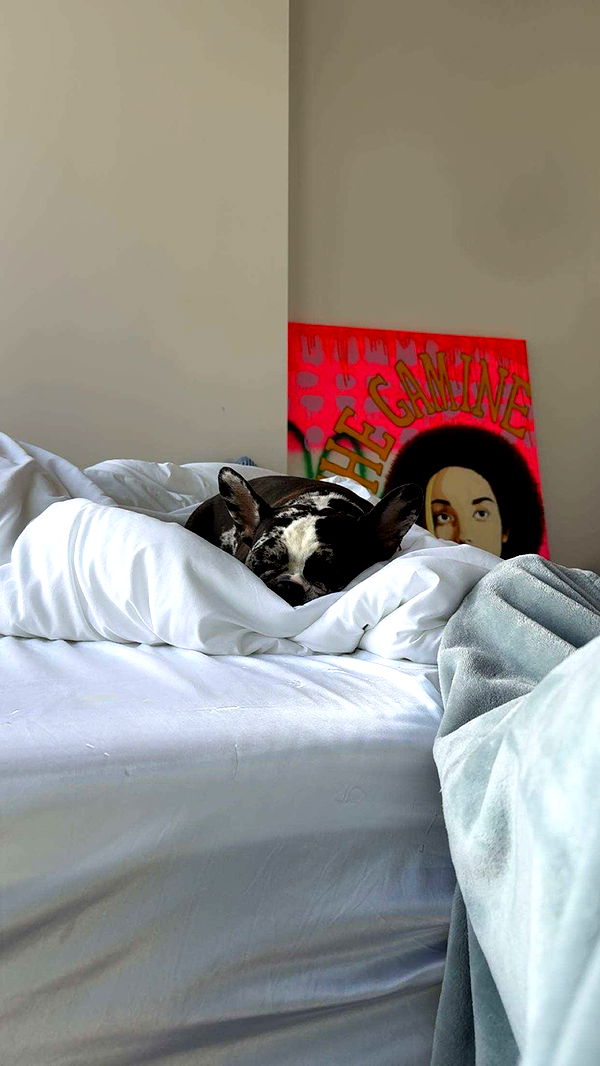 realhaylujan image ~ Altpins