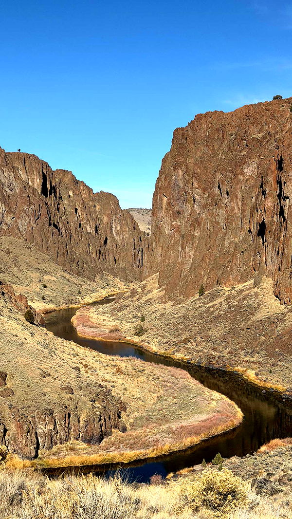 realhaylujan image ~ Altpins