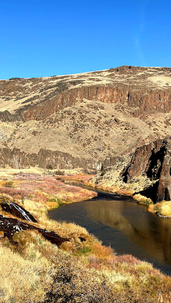 realhaylujan image ~ Altpins