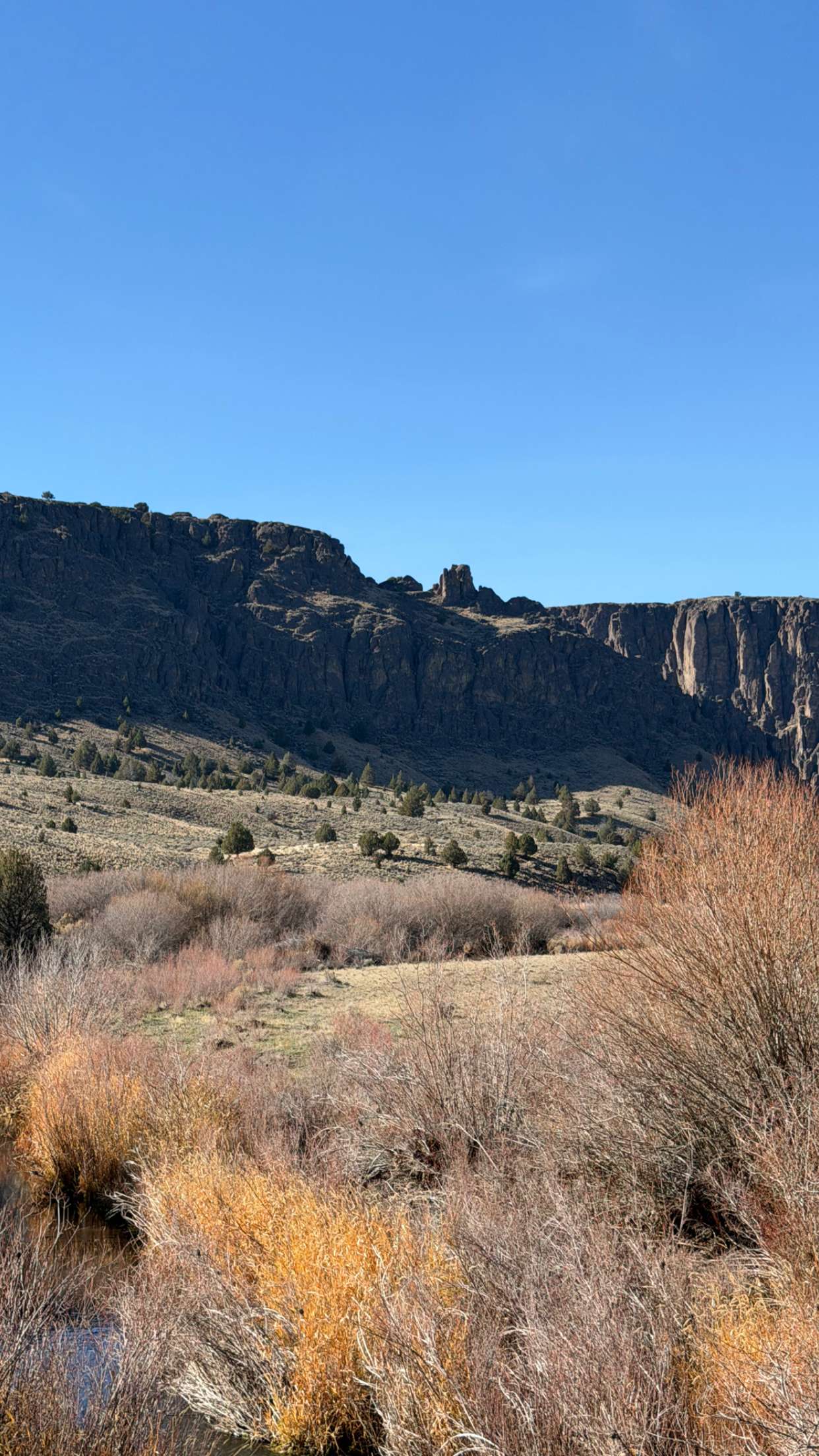 realhaylujan snapchat image archive image