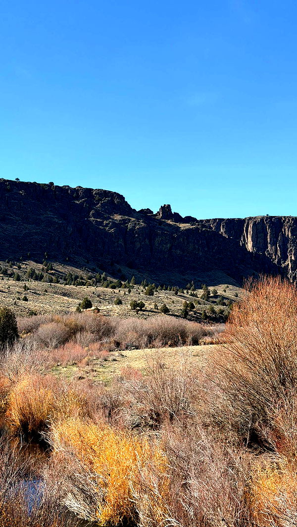 realhaylujan image ~ Altpins