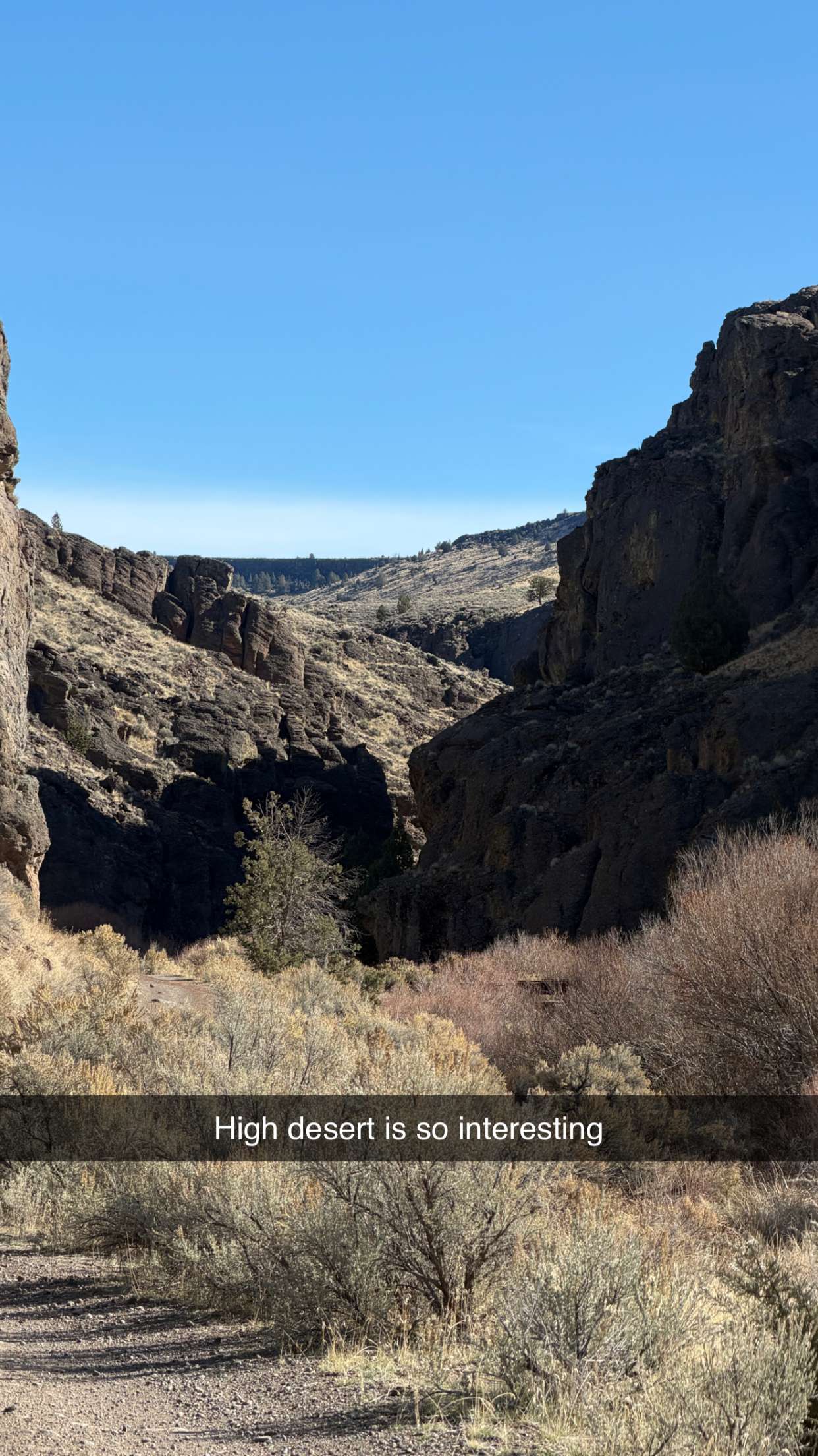 realhaylujan snapchat image archive image