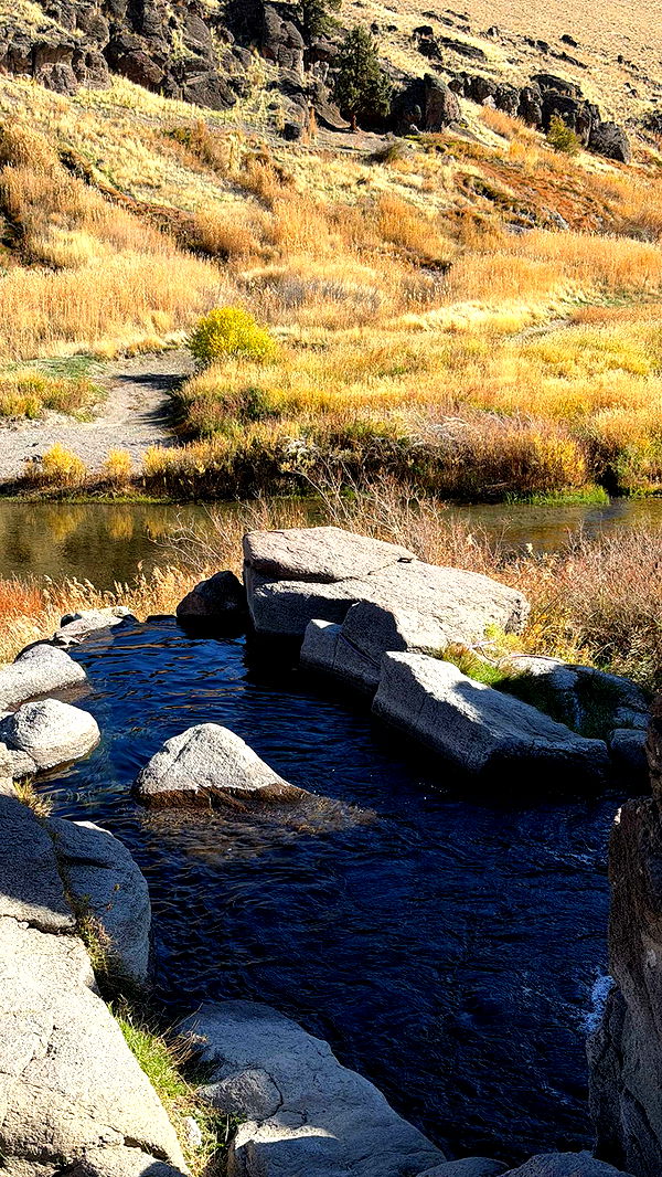 realhaylujan image ~ Altpins