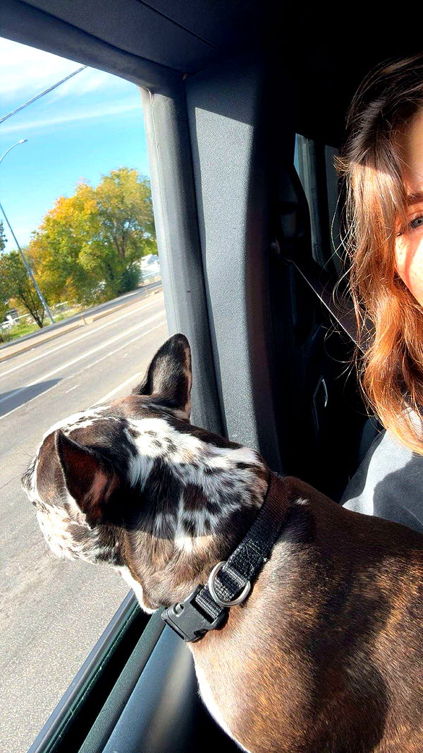 realhaylujan image ~ Altpins