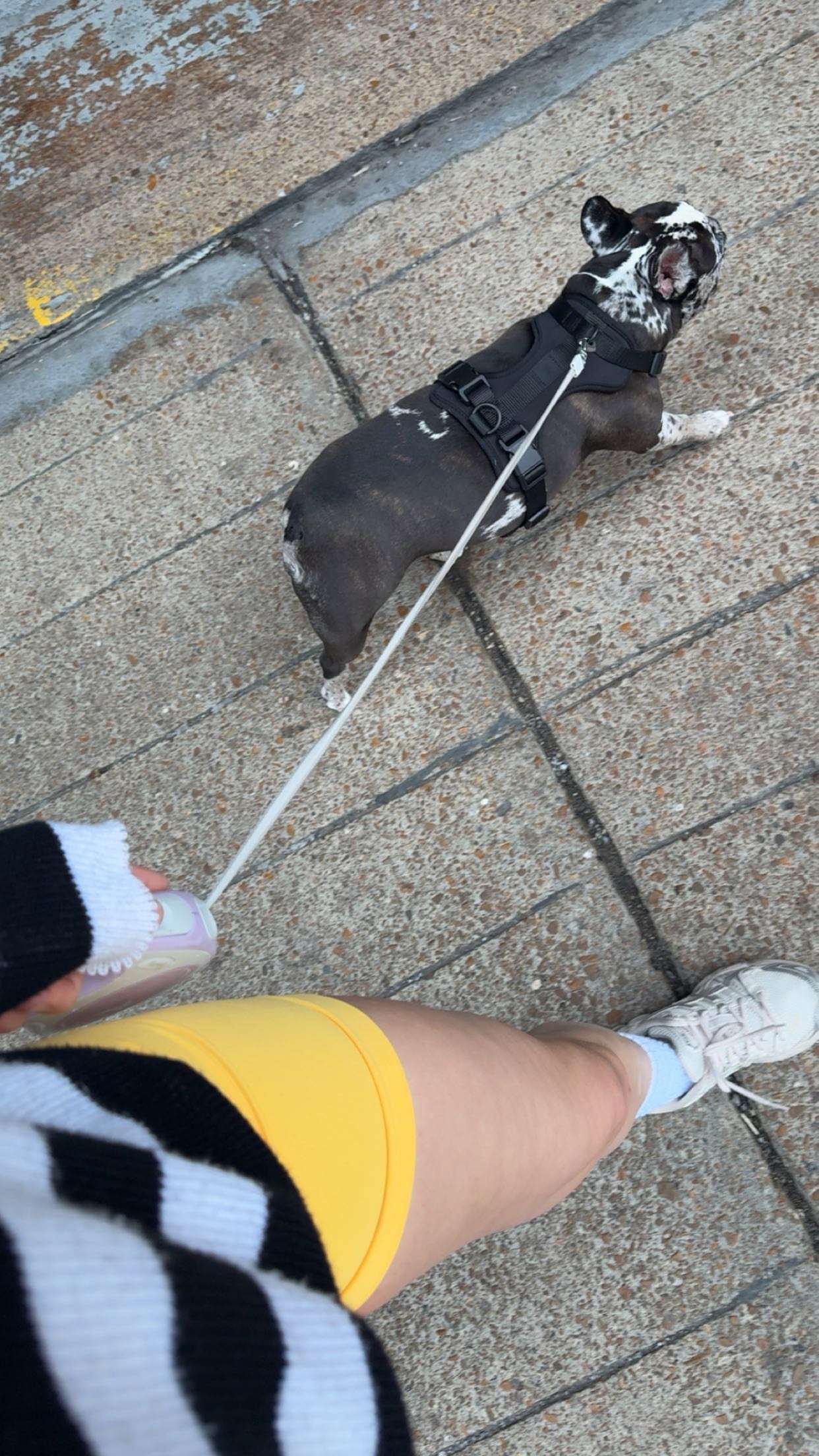 realhaylujan snapchat image archive image