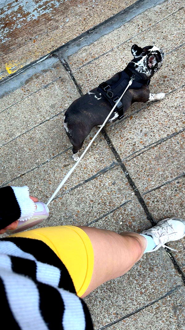 realhaylujan image ~ Altpins