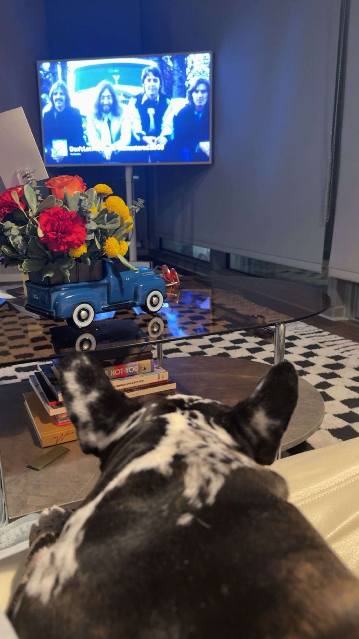 realhaylujan snapchat image archive image