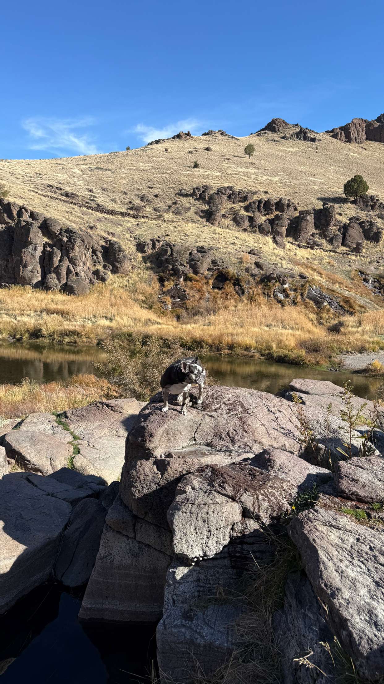 realhaylujan snapchat image archive image