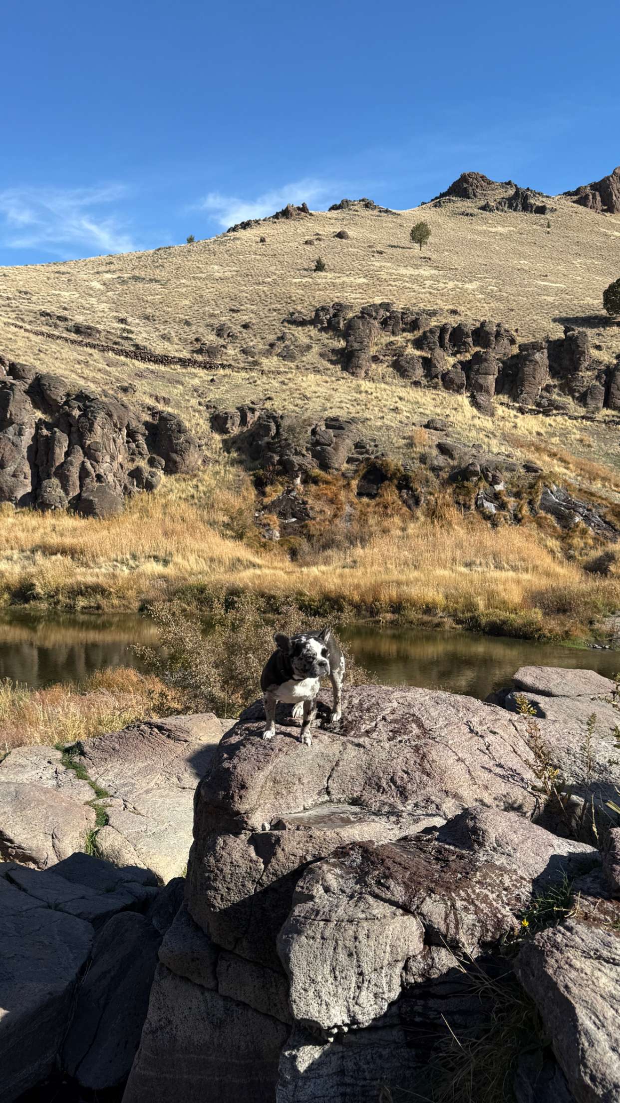 realhaylujan snapchat image archive image