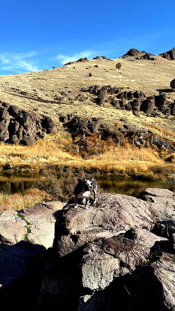 realhaylujan image ~ Altpins