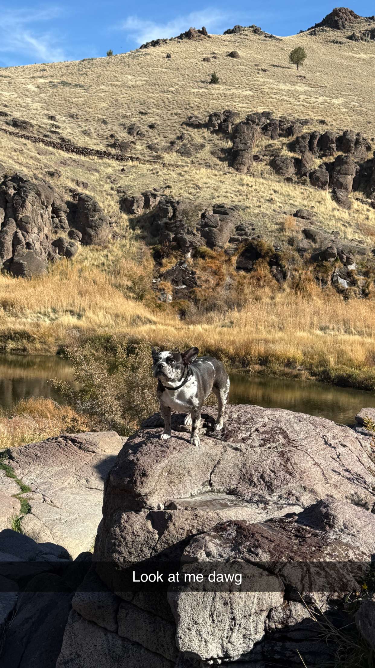 realhaylujan snapchat image archive image