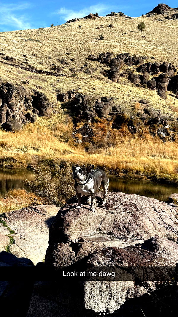 realhaylujan image ~ Altpins