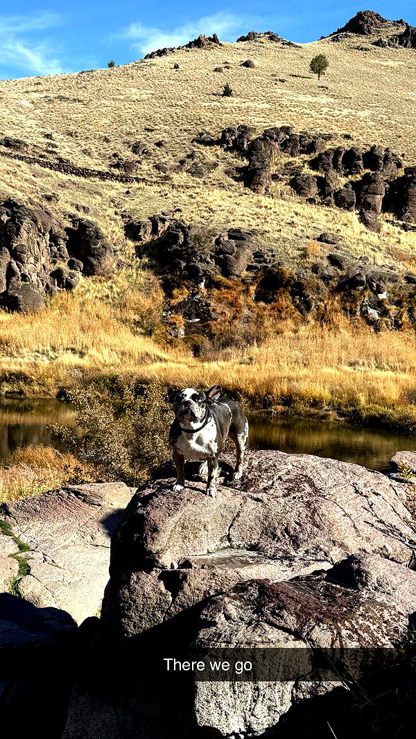 realhaylujan image ~ Altpins