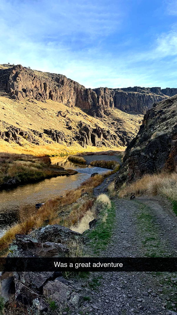 realhaylujan image ~ Altpins