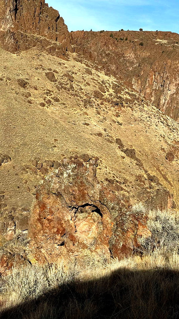 realhaylujan image ~ Altpins