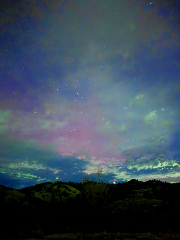 realhaylujan image ~ Altpins