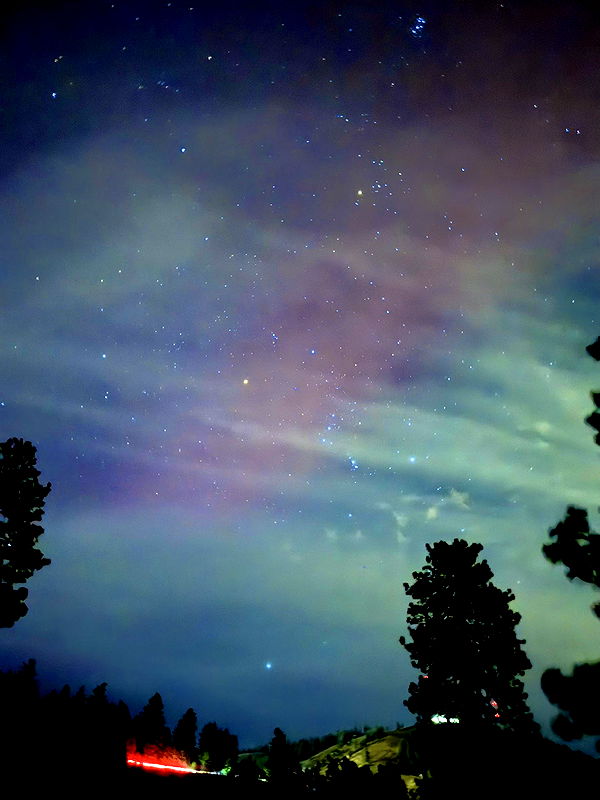 realhaylujan image ~ Altpins