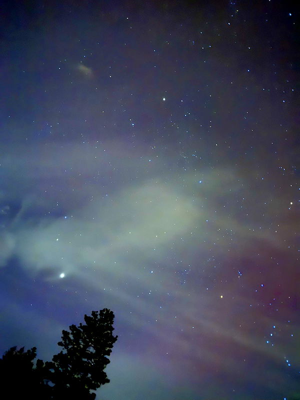 realhaylujan image ~ Altpins