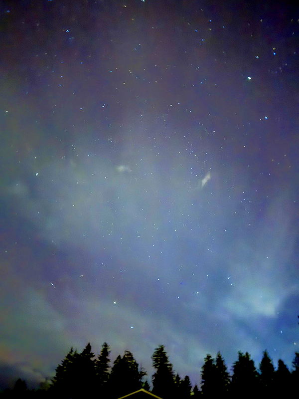 realhaylujan image ~ Altpins