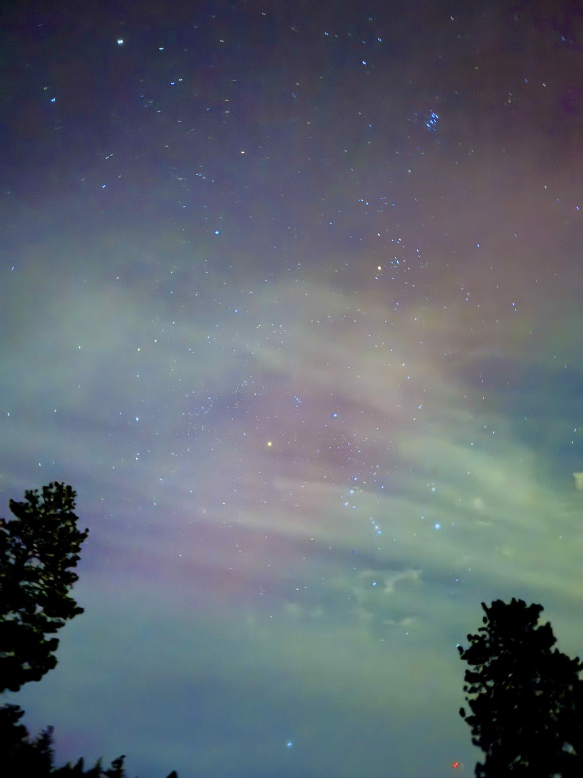 realhaylujan snapchat image archive image