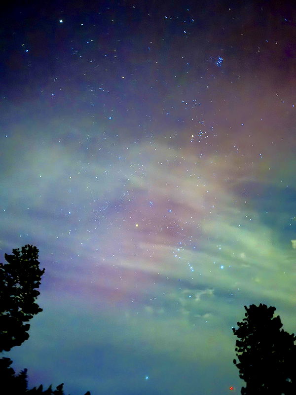 realhaylujan image ~ Altpins