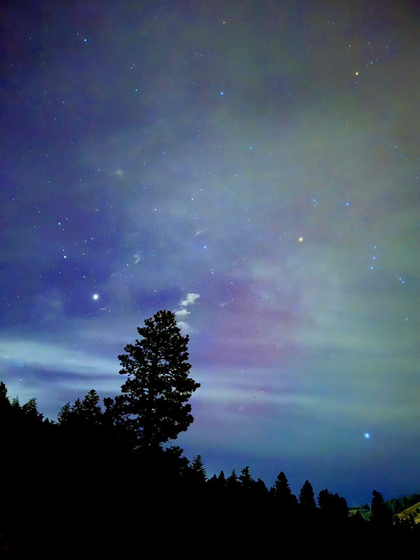 realhaylujan image ~ Altpins