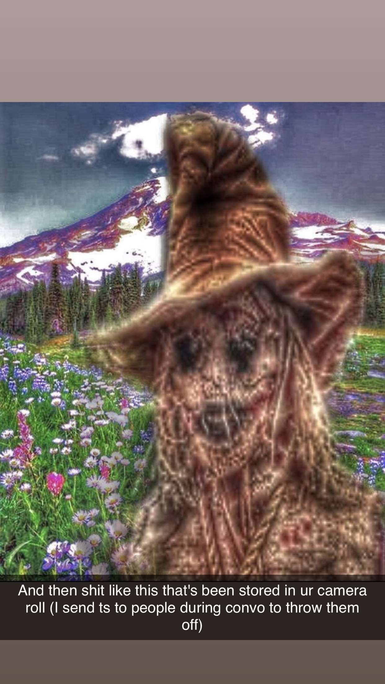 realhaylujan snapchat image archive image