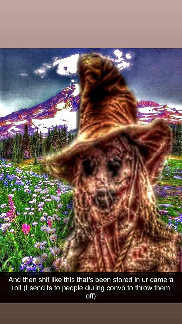 realhaylujan image ~ Altpins