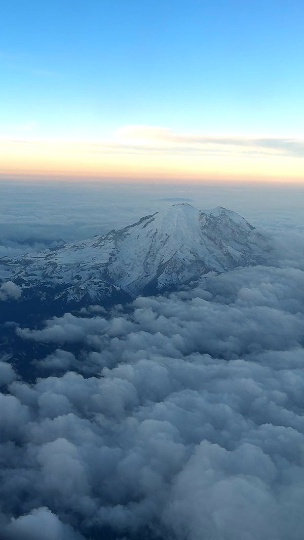 realhaylujan image ~ Altpins