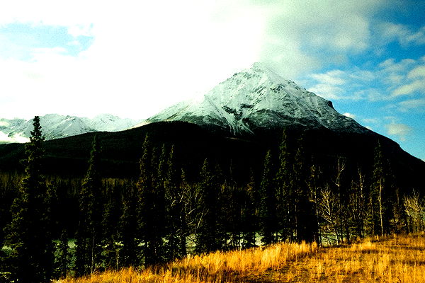 realhaylujan image ~ Altpins