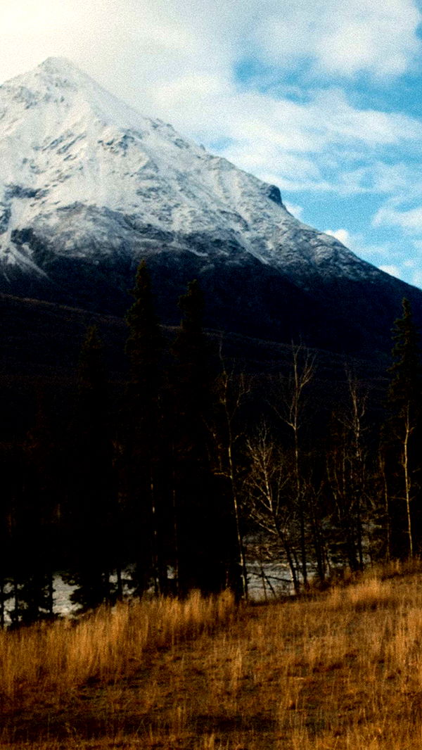 realhaylujan image ~ Altpins