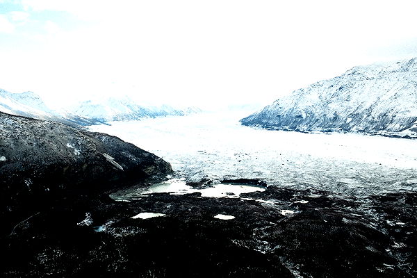 realhaylujan image ~ Altpins