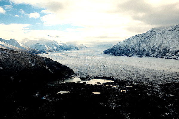 realhaylujan image ~ Altpins