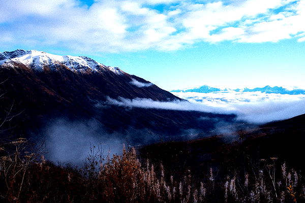 realhaylujan image ~ Altpins