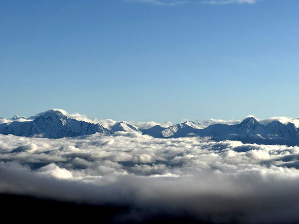 realhaylujan image ~ Altpins