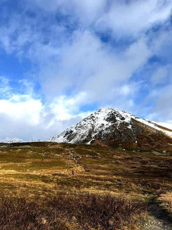 realhaylujan image ~ Altpins