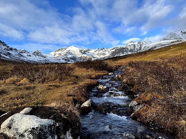 realhaylujan image ~ Altpins