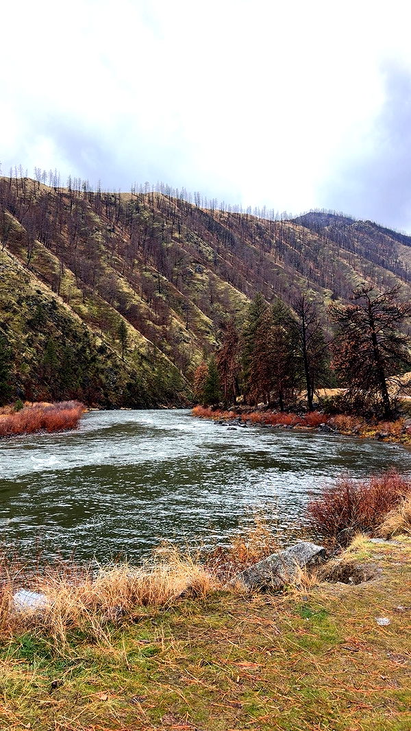 realhaylujan image ~ Altpins