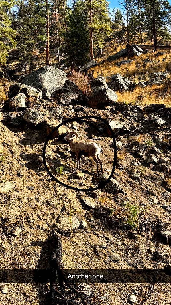 realhaylujan image ~ Altpins