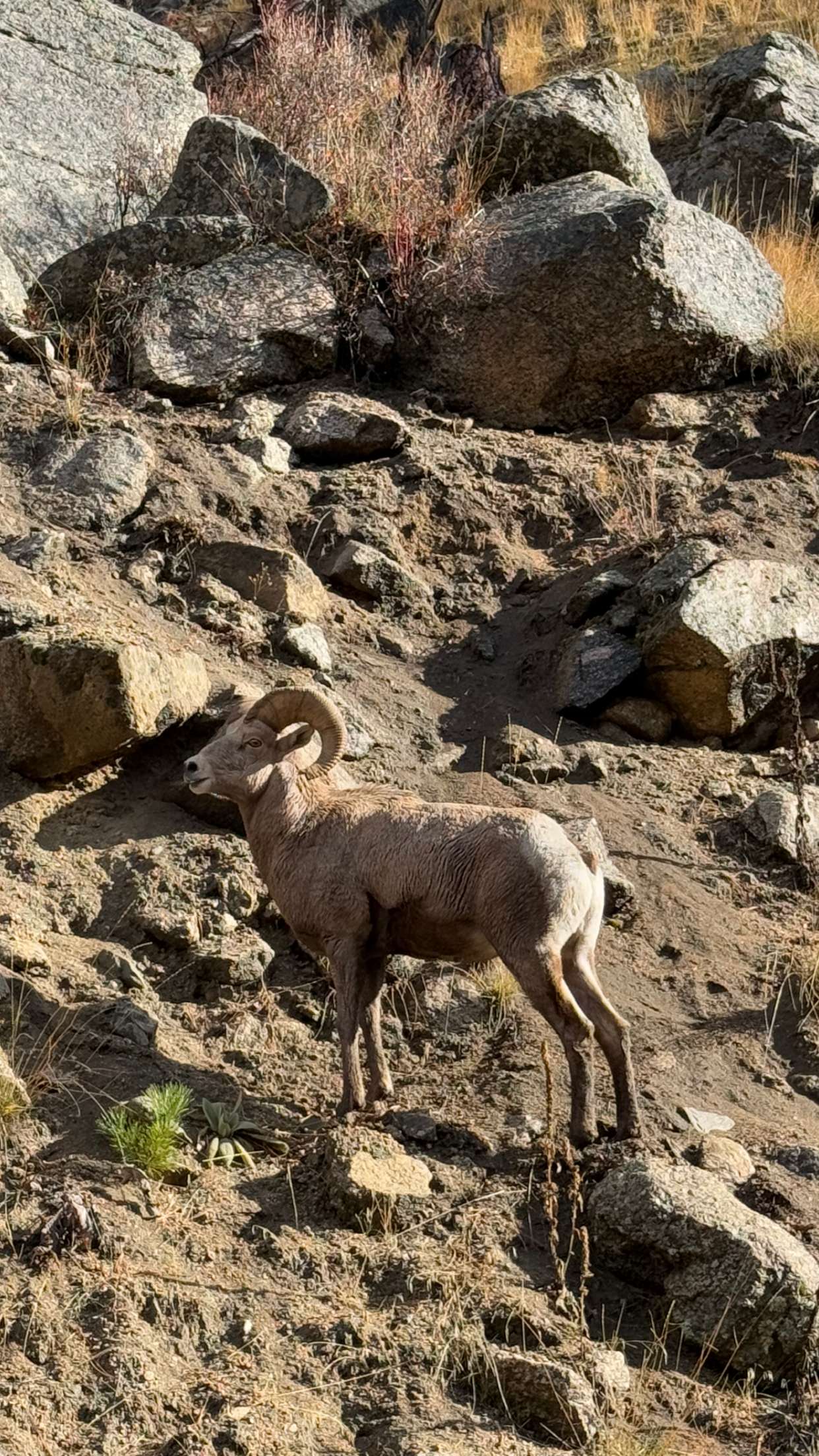 realhaylujan snapchat image archive image