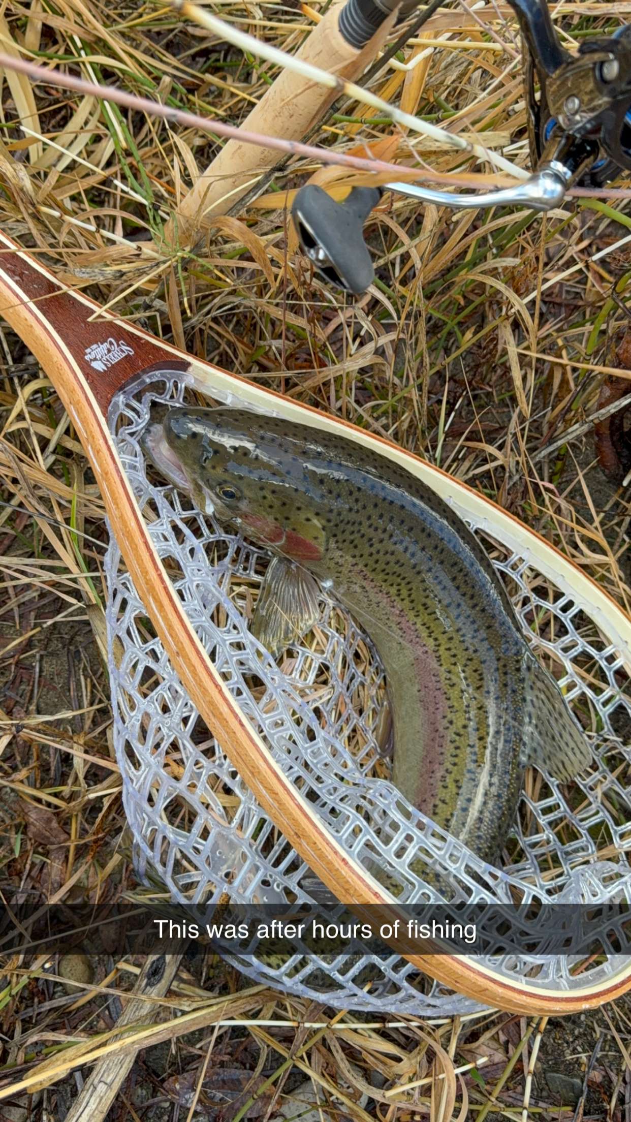 realhaylujan snapchat image archive image