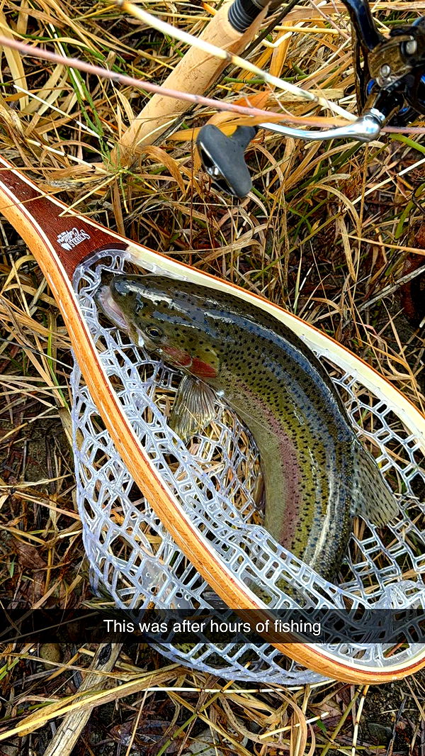 realhaylujan image ~ Altpins