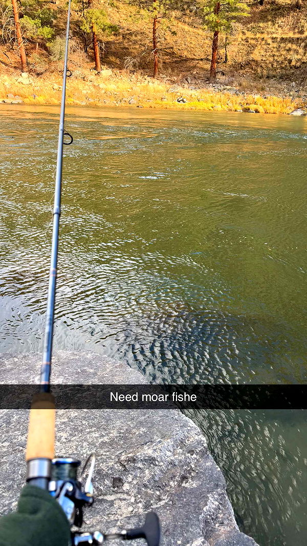 realhaylujan image ~ Altpins