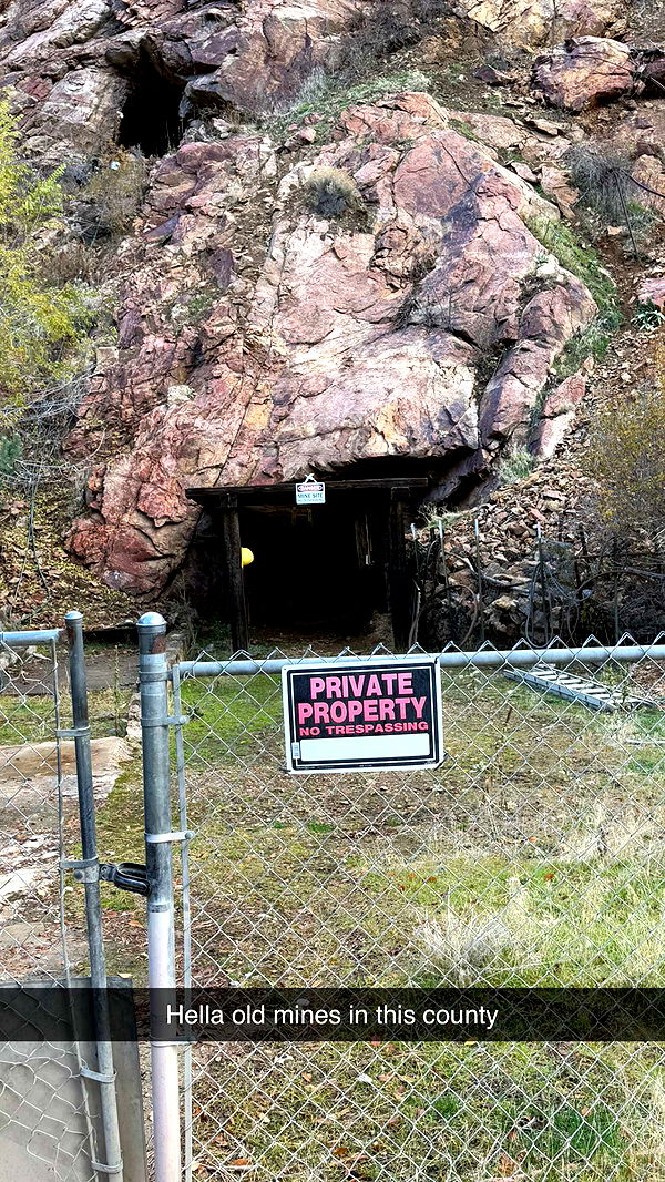 realhaylujan image ~ Altpins