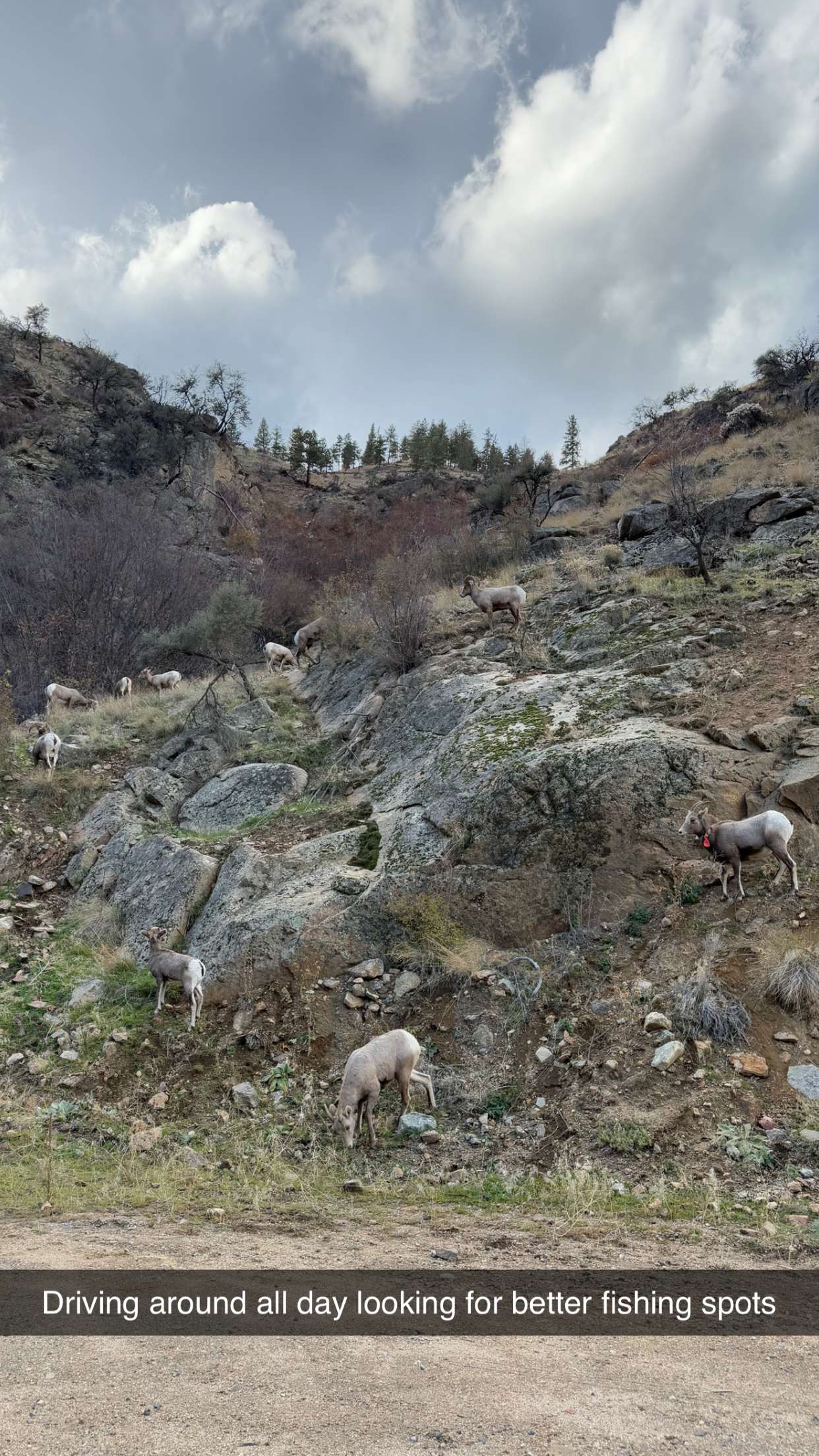 realhaylujan snapchat image archive image