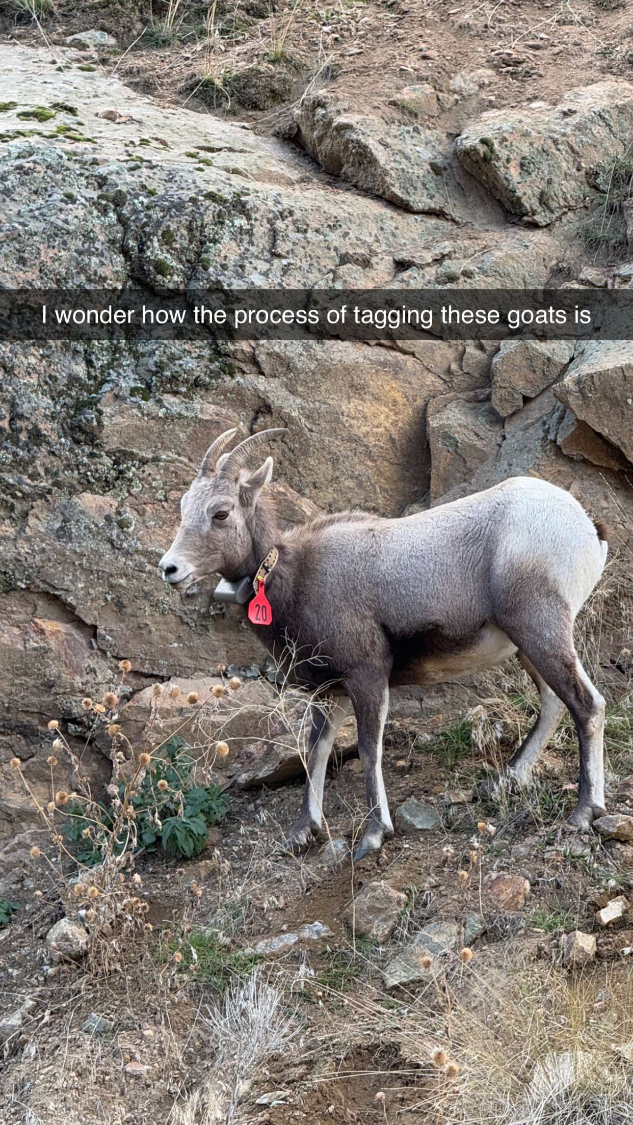 realhaylujan snapchat image archive image