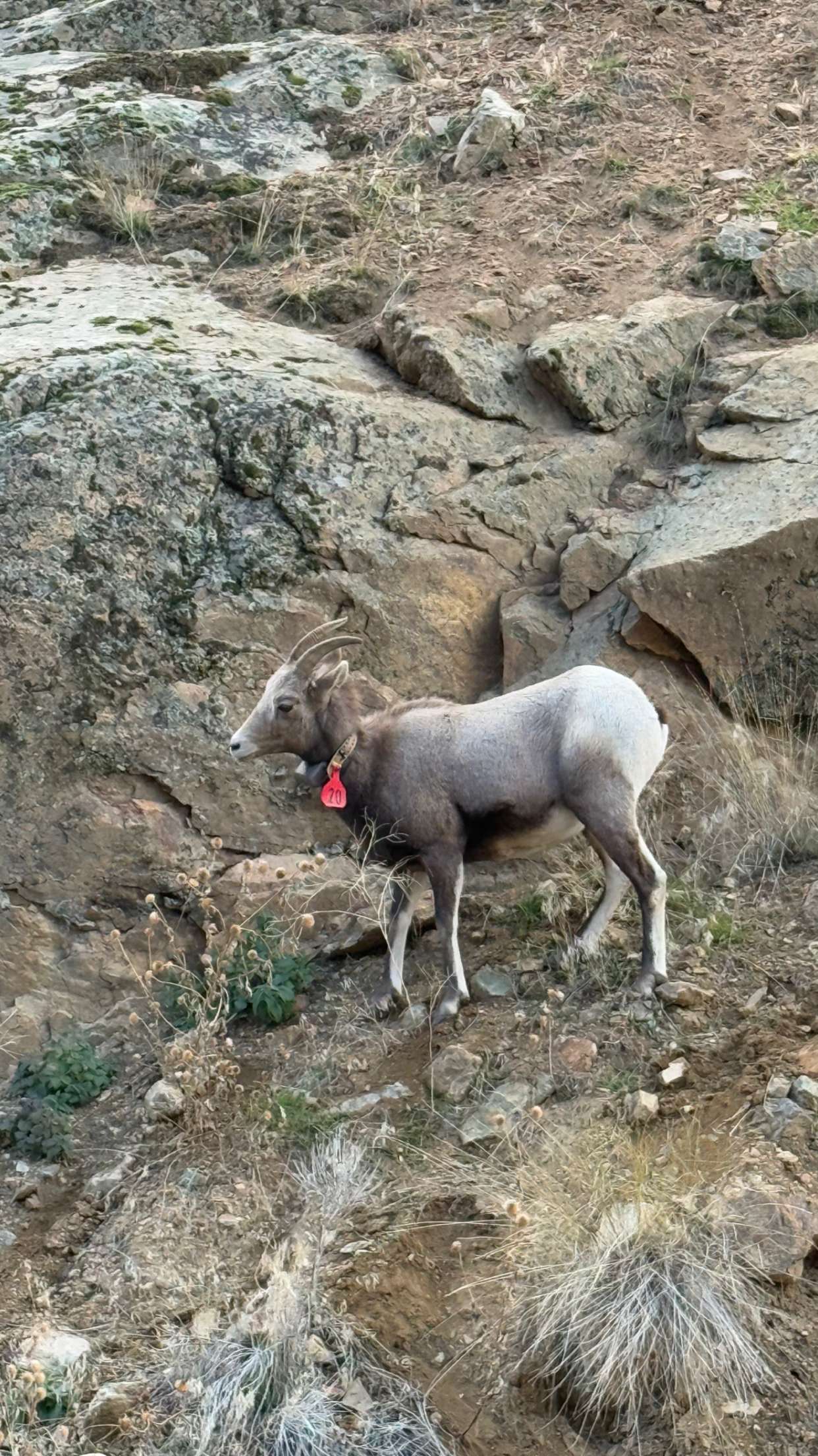 realhaylujan snapchat image archive image