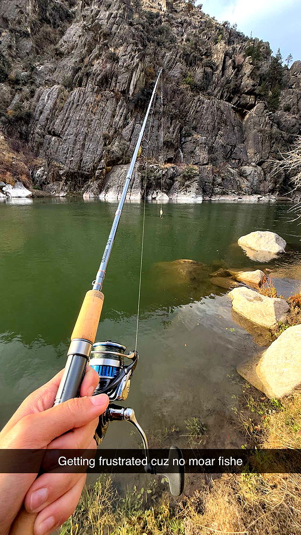 realhaylujan image ~ Altpins